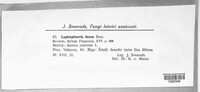 Image Associated With the Occurence